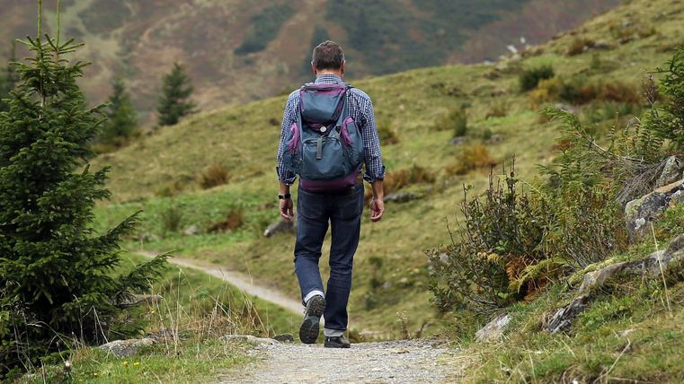 Ein Wanderer geht auf einem Weg durch eine grüne Landschaft. Im Hintergrund sind sanfte Hügel und Bäume zu sehen.