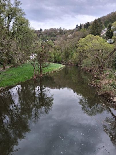 Une rivière tranquille coule à travers un paysage verdoyant avec des arbres. Le ciel est nuageux et se reflète doucement dans l'eau.