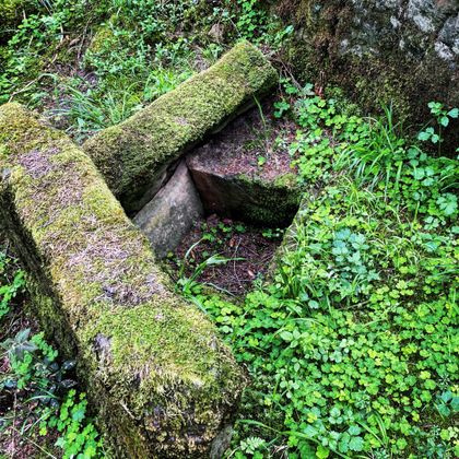 Moosbewachsene Steine auf einem alten Gräberfeld, umgeben von grüner Vegetation.