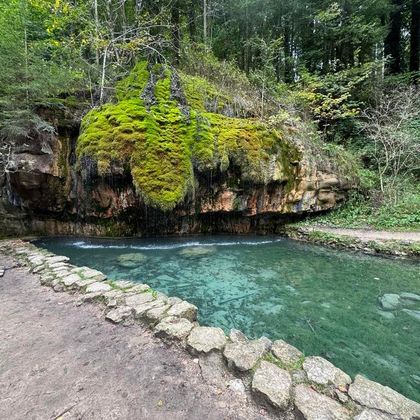 Un étang clair et vert entouré de rochers couverts de mousse. Des arbres denses encadrent la scène paisible.