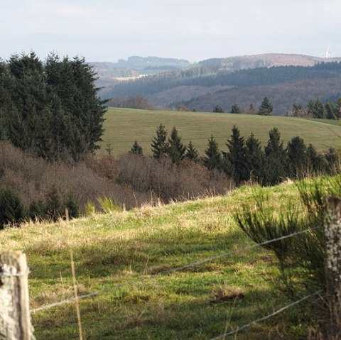 Eifel heights near Arzfeld, © Volker Teuschler