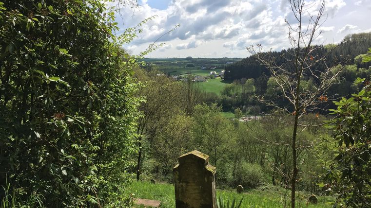 Eine malerische Aussicht auf eine grüne Landschaft, umgeben von Bäumen und Sträuchern. Im Vordergrund steht ein alter Grabstein.