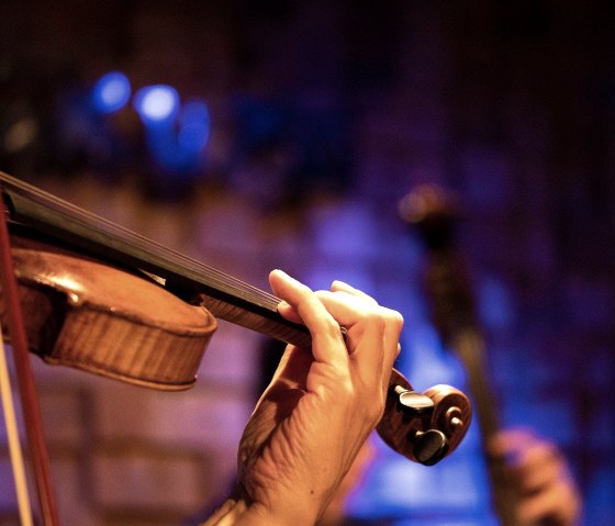 Violine, &copy; Pixabay