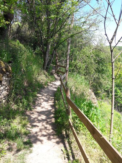 A narrow path winds through a green landscape filled with trees and underbrush. The path is lined with a wooden railing and gently meanders through nature.