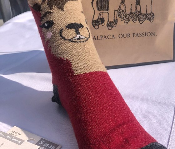 Socken aus w&auml;rmender Alpaka-Wolle, &copy; TI Bitburger Land