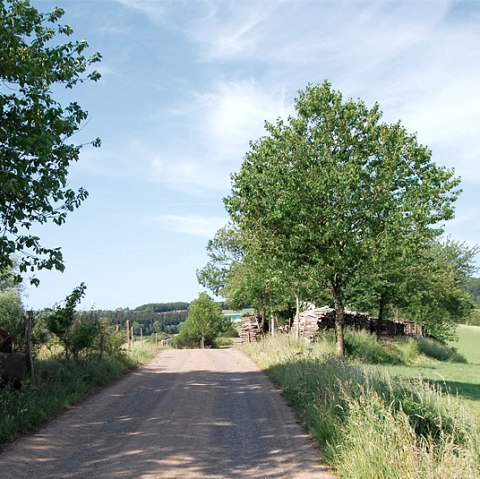 npse_ww_vorschau_92, &copy; C. Kempe