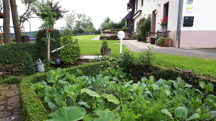 Un beau jardin potager avec des plantes vertes et un terrain bien entretenu. En arrière-plan, il y a une maison et une pelouse verte.