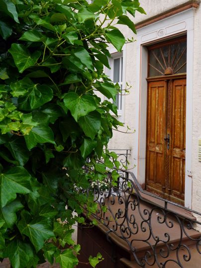 Het gebouw waar het vakantieappartement zich bevindt, is in 1990 grondig gerenoveerd - bijvoorbeeld met een massieve houtsnijwerk ingangdeur met een smeedijzeren leuning.