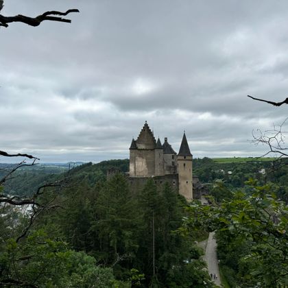 Un vieux château se dresse majestueusement sur une colline, entouré de forêts denses. Le ciel est nuageux et donne à la scène une atmosphère mystique.