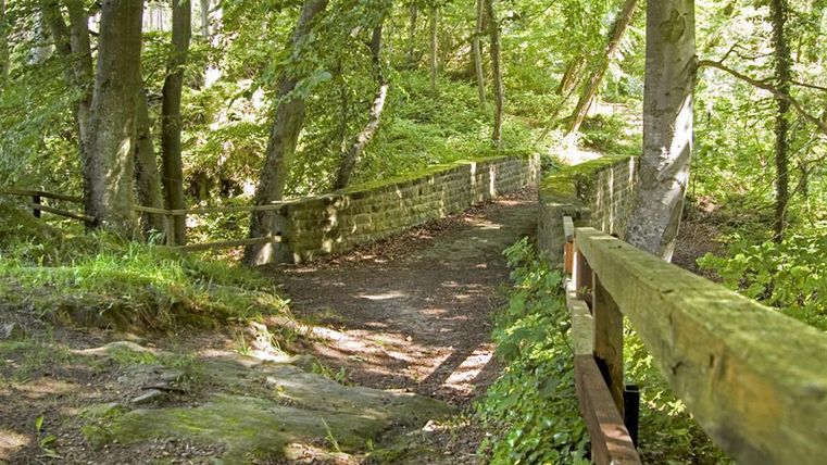 Un beau chemin forestier avec une balustrade en bois, qui passe à travers des feuillages verts. La lumière filtre à travers les arbres et crée une atmosphère paisible.