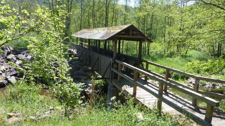 Un pont piétonnier pittoresque avec un passage couvert entouré d'arbres verts. La lumière filtre à travers le feuillage, créant une atmosphère paisible et naturelle.