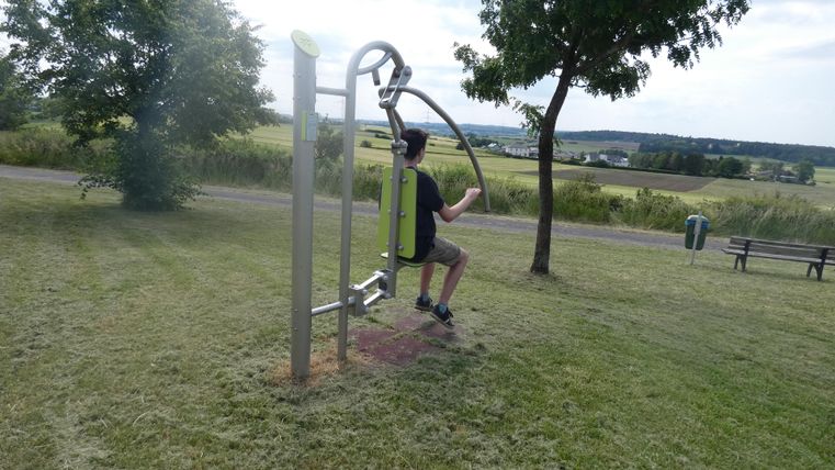 A man is using a fitness machine outdoors. In the background, there is a tree and a vast landscape visible.