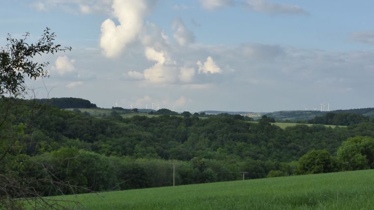 Weite Landschaft mit grünen Feldern und Wald, Windräder am Horizont, blauer Himmel mit Wolken.