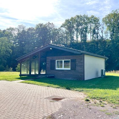 Ein modernes Haus mit einem großen Garten auf einer ebenen Fläche. Im Hintergrund sind Bäume und ein klarer Himmel zu sehen.