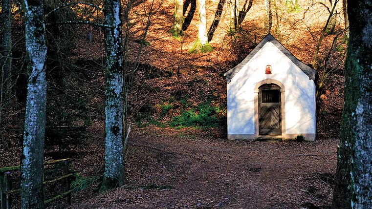 Eine kleine weiße Kapelle im Wald, umgeben von Bäumen und Laub am Boden.