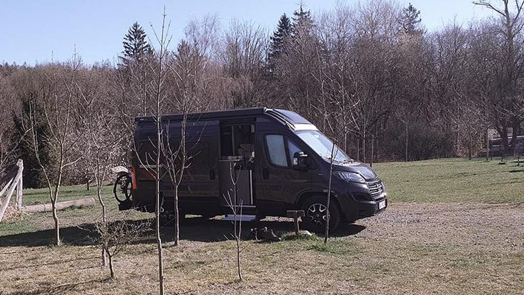 Un camping-car est stationné sur un champ vert, entouré de petits arbres. À l'arrière-plan, on aperçoit des arbres dénudés et un ciel dégagé.