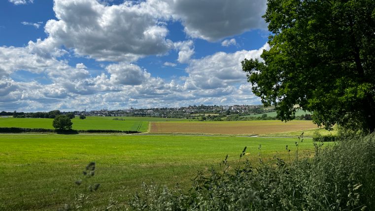 Landschaft mit grünen Feldern, Bäumen und Wolken am Himmel.