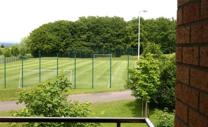 Een voetbalveld met vers gemaaid gras en twee doelen. Omgeven door bomen en groenvoorzieningen.