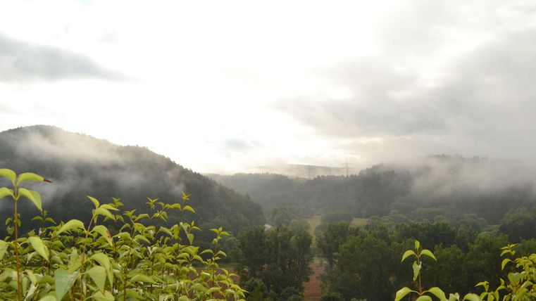 Un paysage brumeux avec des collines douces et des arbres dispersés. Le ciel est nuageux et une atmosphère calme règne.