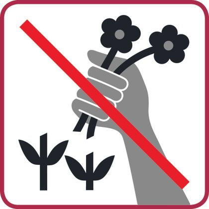 Pflanzen nicht abreißen