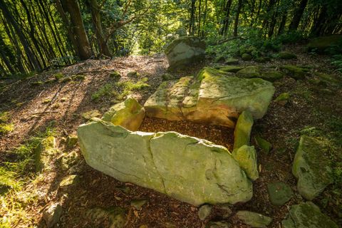 Ein natürlicher Stein mit einer flachen Oberfläche, umgeben von Wald und sonnigem Licht. Der Boden ist mit Laub und kleinen Steinen bedeckt.