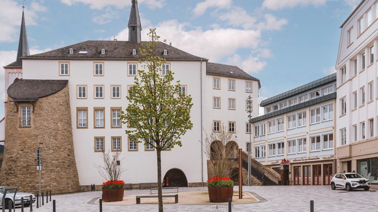 Eine ruhige Stadtansicht mit historischen und modernen Gebäuden. In der Mitte steht ein Baum auf einem Platz, umgeben von blühenden Blumen.
