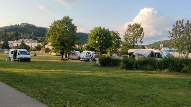 Ein Campingplatz mit Wiesenflächen und vielen Bäumen. Im Hintergrund sind Wohnmobile und Zelte zu sehen.