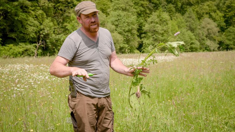 Een man staat op een veld en houdt een plant in zijn hand. Hij lijkt iets uit te leggen en de omgeving is groen en in bloei.