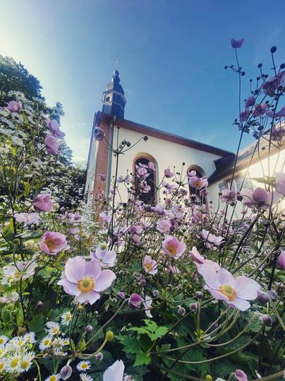 Eine schöne Kirche umgeben von blühenden Pflanzen und Blumen. Der klare Himmel sorgt für eine friedliche Atmosphäre.