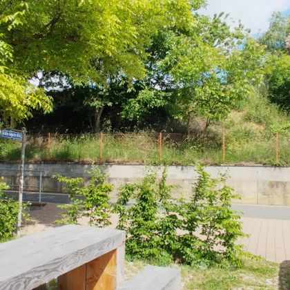 Eine ruhige Landschaft mit viel grünem Laub und einem kurzen Weg. Im Vordergrund sind ein Holztisch und ein Auto zu sehen.