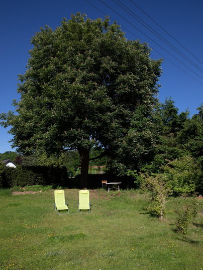 Ein sonniger Garten mit einem großen Baum im Hintergrund. Zwei Liegestühle stehen im Gras, daneben ist ein kleiner Tisch zu sehen.