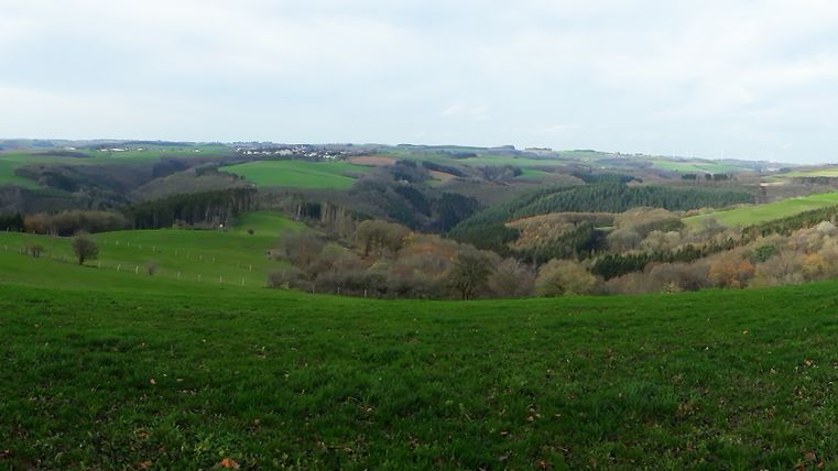 Panoramablick von Scheuern über grüne Hügel und Wälder.