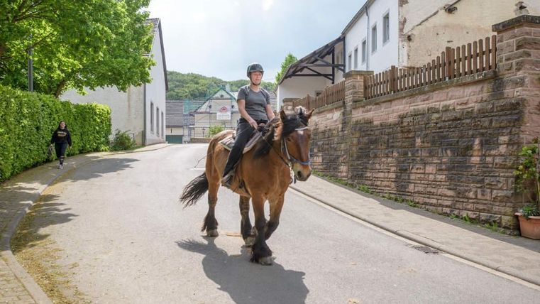 Een persoon rijdt op een paard langs de straat. Op de achtergrond zijn groene bomen en gebouwen te zien.