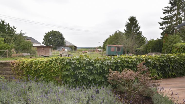 Een rustige tuinlandschap met groene planten en een houten terras. Op de achtergrond zijn enkele gebouwen en bomen te zien.