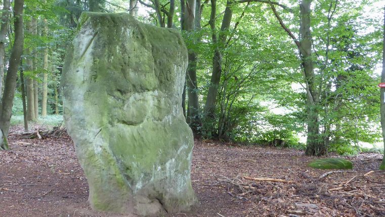 Ein großer, ramponierter Stein steht in einem Waldgebiet. Umgeben von Bäumen und trockenem Laub vermittelt die Szene eine natürliche, ruhige Atmosphäre.