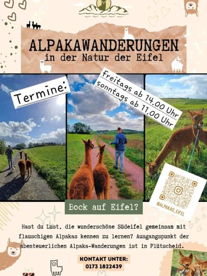 Alpakawanderungen in der Eifel. Erlebe die Natur mit flauschigen Alpakas und genieße die schöne Landschaft.