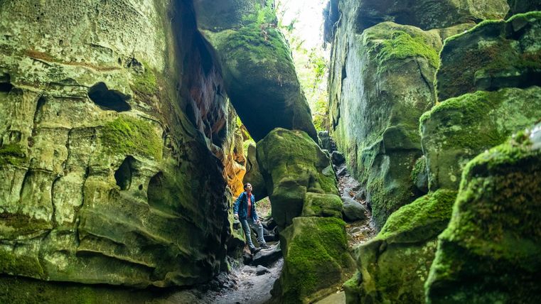 Eine Person steht in einer moosbewachsenen, engen Schlucht mit hohen Felswänden.