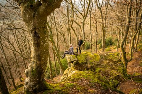 Zwei Personen auf einem moosbedeckten Felsen im Wald.