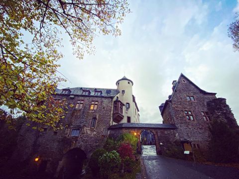 Eine beeindruckende Burg mit einem Turm und historischen Gebäuden. Umgeben von Bäumen und einer stimmungsvolle, wolkigen Himmel.