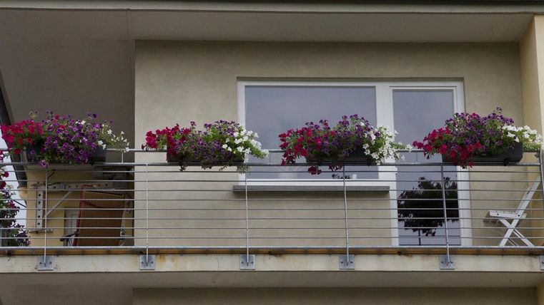 Ein Balkon mit bunten Blumenkästen und einer modernen Geländerstruktur. Die Pflanzen in verschiedenen Farben schaffen eine einladende Atmosphäre.