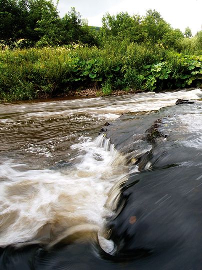 Fluss mit kleinem Wasserfall und üppiger Vegetation am Ufer.