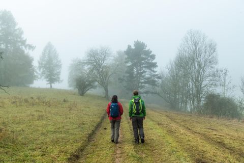 Zwei Wanderer gehen auf einem schmalen Weg durch eine neblige Landschaft. Umgeben von Bäumen und grasbewachsenen Feldern ist die Atmosphäre ruhig und geheimnisvoll.