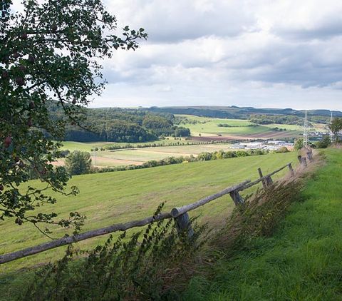 Landschaft mit Wiesen, Bäumen und einem Holzzaun im Vordergrund, Blick auf Felder und Hügel unter bewölktem Himmel.