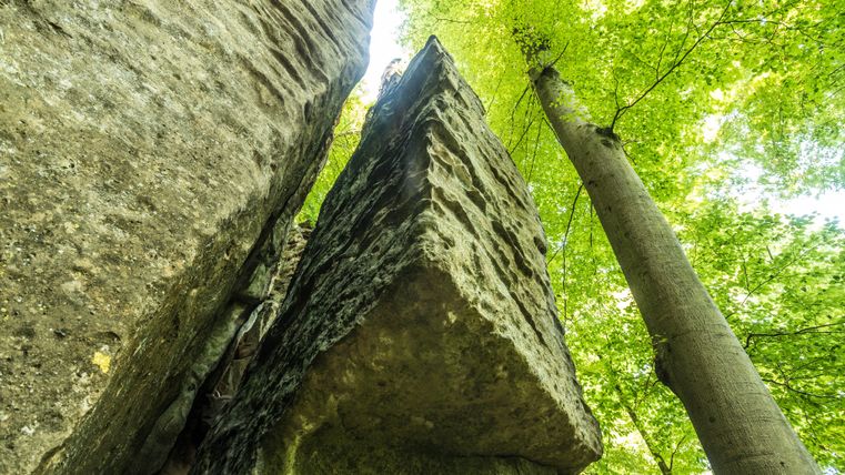 Blick von unten auf hohe Felsen und Bäume mit grünem Laub.