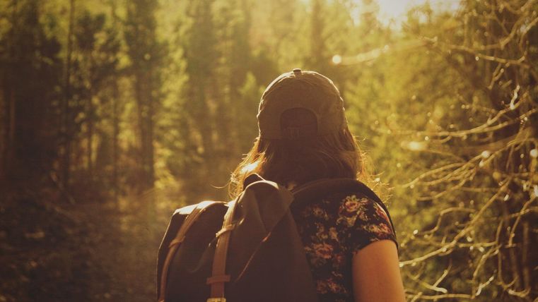 Eine Person mit einem Rucksack steht in einem Wald. Die Sonne scheint durch die Bäume und sorgt für eine warme Atmosphäre.