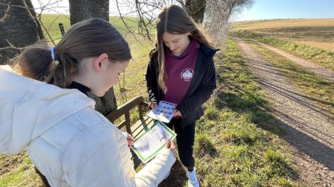 Zwei Mädchen stehen an einem Weg und schauen sich aufeinander folgende Bilder an. Sie scheinen sich für etwas zu interessieren, das sie entdecken oder lernen möchten.