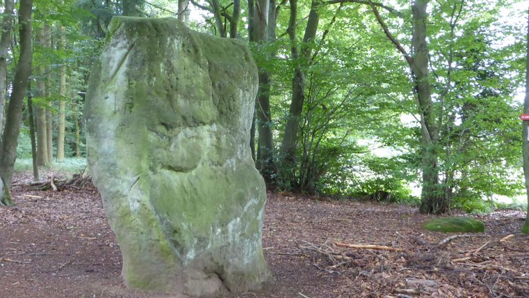 Une grande pierre recouverte de mousse dans la forêt, entourée d'arbres et de feuillages.