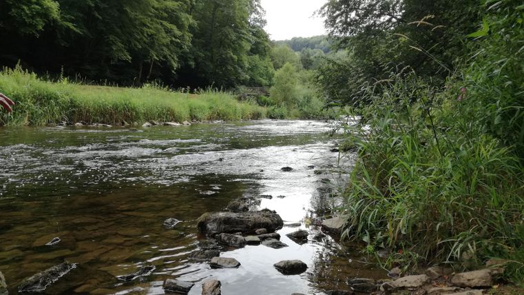 A calm river flows through a green landscape. Stones and tall grass can be seen at the riverbank.