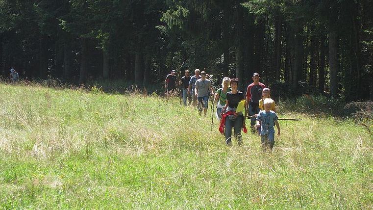 Een groep mensen wandelt door een groene weide. Op de achtergrond zijn bomen te zien die een mooi bos vormen.