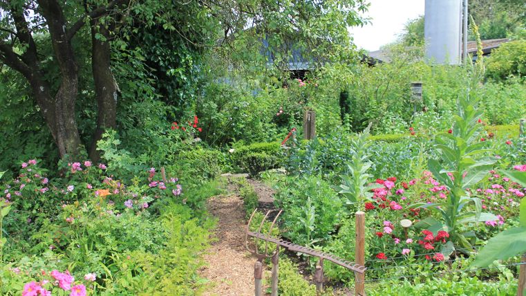 Ein schöner Garten mit bunten Blumen und einem geschwungenen Weg. Im Hintergrund sind ein Baum und ein Wassertank zu sehen.